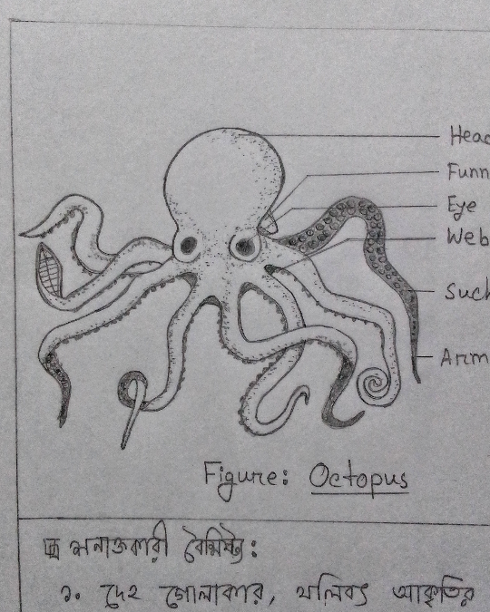 Sketch 2